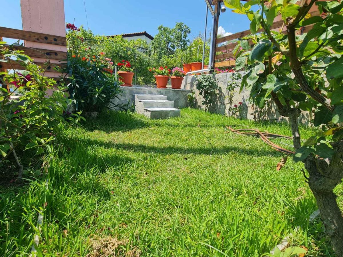 Stella'S Garden Villa Palaiontsiflikion Ngoại thất bức ảnh